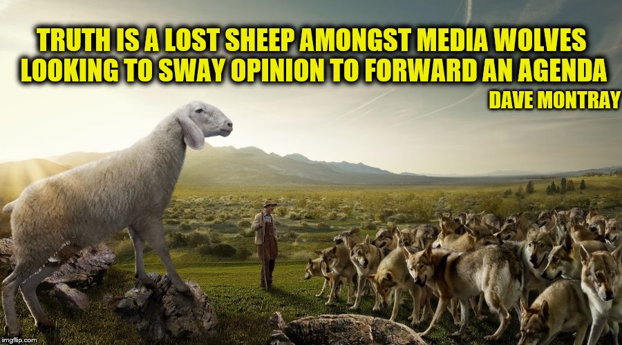 Lost Sheep Truth to Media Wolves With An Agenda | TRUTH IS A LOST SHEEP AMONGST MEDIA WOLVES LOOKING TO SWAY OPINION TO FORWARD AN AGENDA; DAVE MONTRAY | image tagged in sheep,wolves,lost truth,media bias,media lies,memes | made w/ Imgflip meme maker