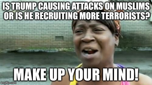 Ain't Nobody Got Time For That Meme | IS TRUMP CAUSING ATTACKS ON MUSLIMS OR IS HE RECRUITING MORE TERRORISTS? MAKE UP YOUR MIND! | image tagged in memes,aint nobody got time for that | made w/ Imgflip meme maker