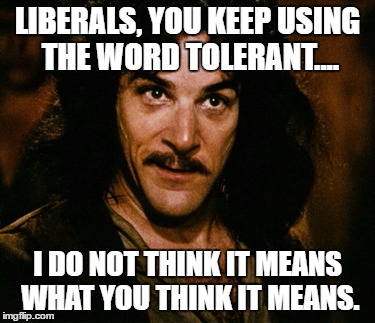 LIBERALS, YOU KEEP USING THE WORD TOLERANT.... I DO NOT THINK IT MEANS WHAT YOU THINK IT MEANS. | image tagged in liberal logic,stupid liberals,sjw logic | made w/ Imgflip meme maker