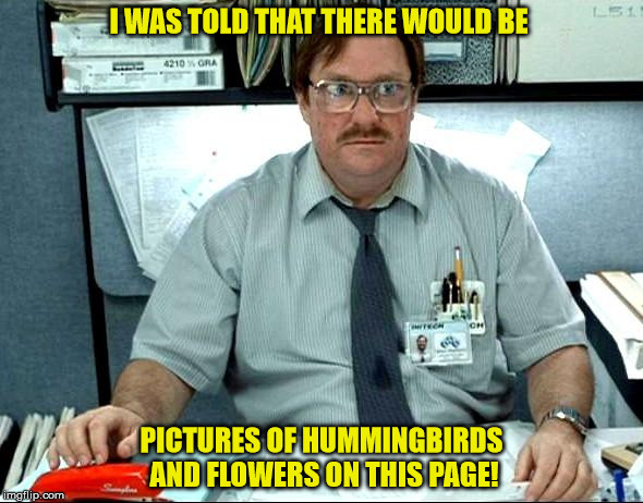 I Was Told There Would Be | I WAS TOLD THAT THERE WOULD BE; PICTURES OF HUMMINGBIRDS AND FLOWERS ON THIS PAGE! | image tagged in memes,i was told there would be | made w/ Imgflip meme maker