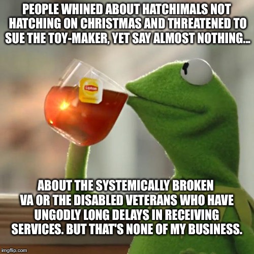 Hatchimals and Department of Veterans Affairs Meme | PEOPLE WHINED ABOUT HATCHIMALS NOT HATCHING ON CHRISTMAS AND THREATENED TO SUE THE TOY-MAKER, YET SAY ALMOST NOTHING... ABOUT THE SYSTEMICALLY BROKEN VA OR THE DISABLED VETERANS WHO HAVE UNGODLY LONG DELAYS IN RECEIVING SERVICES. BUT THAT'S NONE OF MY BUSINESS. | image tagged in memes,but thats none of my business,kermit the frog | made w/ Imgflip meme maker