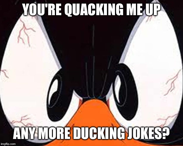 Angry duck | YOU'RE QUACKING ME UP ANY MORE DUCKING JOKES? | image tagged in angry duck | made w/ Imgflip meme maker