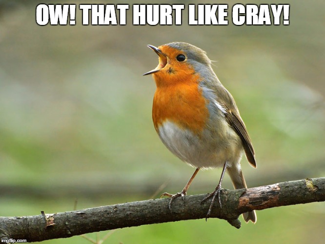 OW! THAT HURT LIKE CRAY! | made w/ Imgflip meme maker