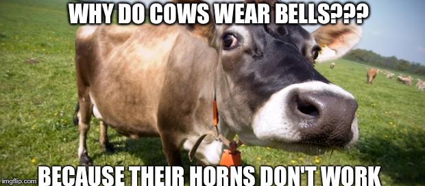 Cowbell | WHY DO COWS WEAR BELLS??? BECAUSE THEIR HORNS DON'T WORK | image tagged in cowbell | made w/ Imgflip meme maker