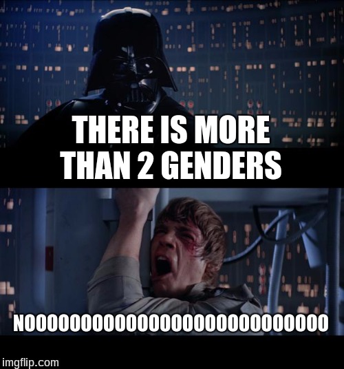 What has the world become
 | THERE IS MORE THAN 2 GENDERS; NOOOOOOOOOOOOOOOOOOOOOOOOOOO | image tagged in memes,star wars no | made w/ Imgflip meme maker