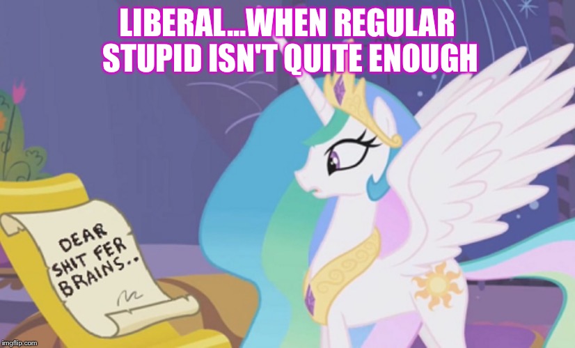 Liberal | LIBERAL...WHEN REGULAR STUPID ISN'T QUITE ENOUGH | image tagged in liberal logic | made w/ Imgflip meme maker