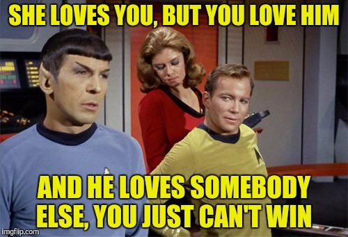 I don't care what any Romulan thinks, all I can say is love stinks | SHE LOVES YOU, BUT YOU LOVE HIM; AND HE LOVES SOMEBODY ELSE, YOU JUST CAN'T WIN | image tagged in star trek,captain kirk,mr spock,love stinks | made w/ Imgflip meme maker
