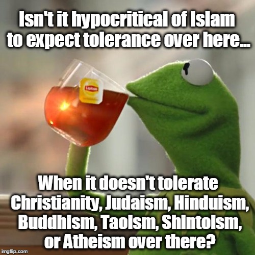 But That's None Of My Business Meme | Isn't it hypocritical of Islam to expect tolerance over here... When it doesn't tolerate Christianity, Judaism, Hinduism, Buddhism, Taoism, Shintoism, or Atheism over there? | image tagged in memes,but thats none of my business,kermit the frog,muslims,immigration | made w/ Imgflip meme maker