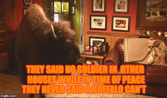 THEY SAID NO SOLDIER IN 
OTHER HOUSES WHILE IN TIME OF PEACE; THEY NEVER SAID A BUFFALO CAN'T | image tagged in funny memes | made w/ Imgflip meme maker