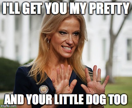 I'LL GET YOU MY PRETTY; AND YOUR LITTLE DOG TOO | image tagged in demonic kelly ann | made w/ Imgflip meme maker
