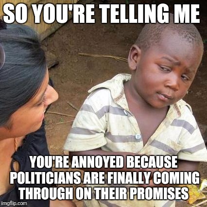 If the policies are surprising you the pantomime politics won you over | SO YOU'RE TELLING ME; YOU'RE ANNOYED BECAUSE POLITICIANS ARE FINALLY COMING THROUGH ON THEIR PROMISES | image tagged in memes,third world skeptical kid,trump,brexit,five star movement | made w/ Imgflip meme maker