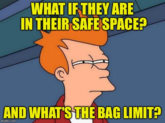 Futurama Fry Meme | WHAT IF THEY ARE IN THEIR SAFE SPACE? AND WHAT'S THE BAG LIMIT? | image tagged in memes,futurama fry | made w/ Imgflip meme maker