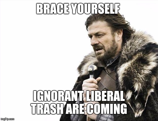 Brace Yourselves X is Coming Meme | BRACE YOURSELF IGNORANT LIBERAL TRASH ARE COMING | image tagged in memes,brace yourselves x is coming | made w/ Imgflip meme maker