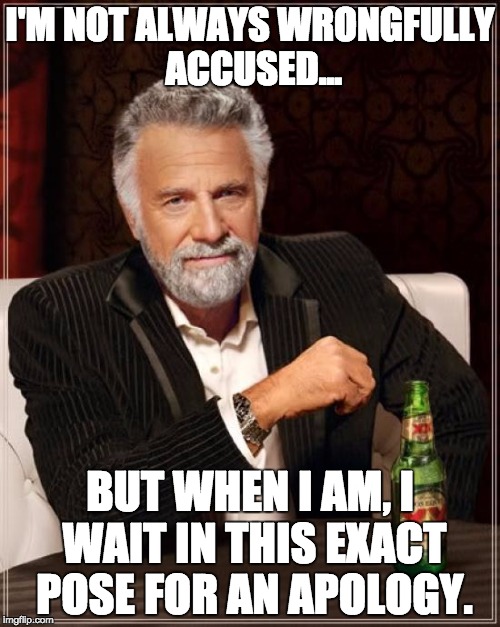 The Most Interesting Man In The World Meme | I'M NOT ALWAYS WRONGFULLY ACCUSED... BUT WHEN I AM, I WAIT IN THIS EXACT POSE FOR AN APOLOGY. | image tagged in memes,the most interesting man in the world | made w/ Imgflip meme maker