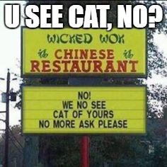 Seen any funny signs lately? | U SEE CAT, NO? | image tagged in funnysigns,chinese,cats | made w/ Imgflip meme maker