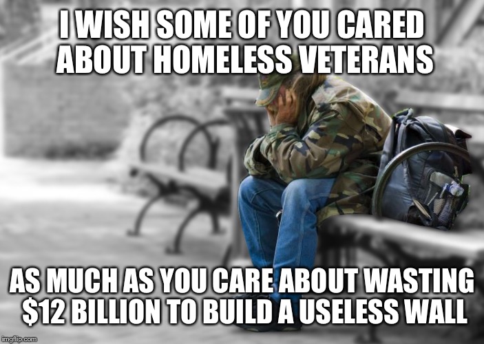 Wall | I WISH SOME OF YOU CARED ABOUT HOMELESS VETERANS; AS MUCH AS YOU CARE ABOUT WASTING $12 BILLION TO BUILD A USELESS WALL | image tagged in trump,trump wall,veterans day | made w/ Imgflip meme maker