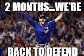2 MONTHS...WE'RE; BACK TO DEFEND | image tagged in chicago cubs,baseball | made w/ Imgflip meme maker