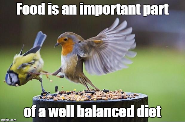 Birds | Food is an important part; of a well balanced diet | image tagged in birds | made w/ Imgflip meme maker