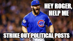 HEY ROGER, 
HELP ME; STRIKE OUT POLITICAL POSTS | image tagged in chicago cubs,baseball | made w/ Imgflip meme maker