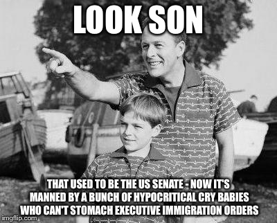 Look Son Meme | LOOK SON; THAT USED TO BE THE US SENATE - NOW IT'S MANNED BY A BUNCH OF HYPOCRITICAL CRY BABIES WHO CAN'T STOMACH EXECUTIVE IMMIGRATION ORDERS | image tagged in memes,look son | made w/ Imgflip meme maker