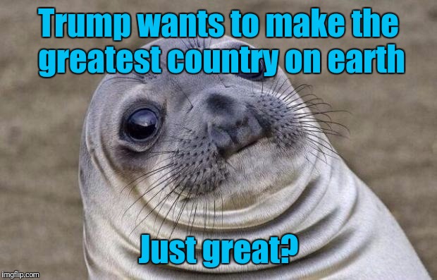 OK now I get the true meaning of "make America great again" | Trump wants to make the greatest country on earth; Just great? | image tagged in memes,awkward moment sealion | made w/ Imgflip meme maker