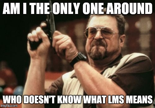 Possibly a repost but I really don't know what it means | AM I THE ONLY ONE AROUND; WHO DOESN'T KNOW WHAT LMS MEANS | image tagged in memes,am i the only one around here | made w/ Imgflip meme maker