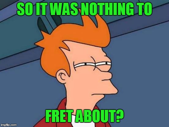 Futurama Fry Meme | SO IT WAS NOTHING TO FRET ABOUT? | image tagged in memes,futurama fry | made w/ Imgflip meme maker
