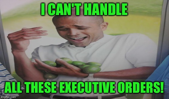 I CAN'T HANDLE ALL THESE EXECUTIVE ORDERS! | made w/ Imgflip meme maker