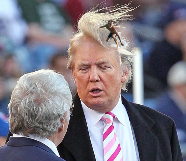 Trump Hair Surfer Blank Meme Template