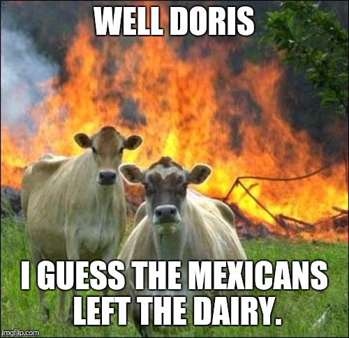 Evil Cows | WELL DORIS; I GUESS THE MEXICANS LEFT THE DAIRY. | image tagged in memes,evil cows | made w/ Imgflip meme maker