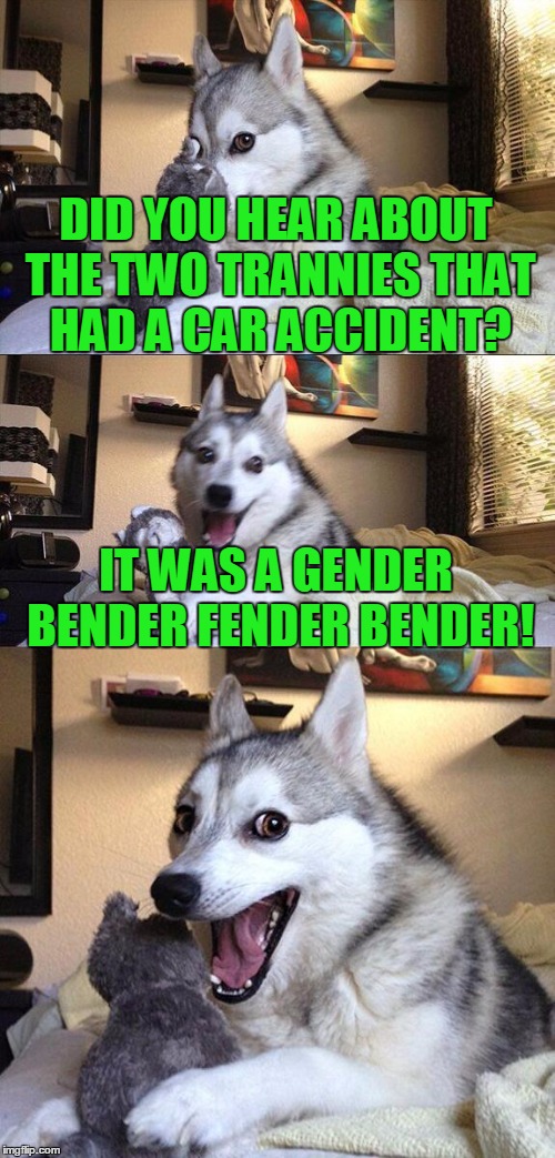 Thanks to MnMinPhx for the idea! | DID YOU HEAR ABOUT THE TWO TRANNIES THAT HAD A CAR ACCIDENT? IT WAS A GENDER BENDER FENDER BENDER! | image tagged in memes,bad pun dog,transgender | made w/ Imgflip meme maker