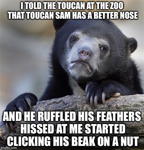 Confession Bear Meme | I TOLD THE TOUCAN AT THE ZOO THAT TOUCAN SAM HAS A BETTER NOSE AND HE RUFFLED HIS FEATHERS HISSED AT ME STARTED CLICKING HIS BEAK ON A NUT | image tagged in memes,confession bear | made w/ Imgflip meme maker