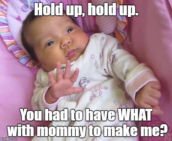 Sassy baby believes in storks. | Hold up, hold up. You had to have WHAT with mommy to make me? | image tagged in sassy baby | made w/ Imgflip meme maker