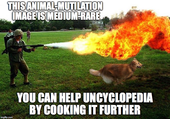 I Burning Your Dog | THIS ANIMAL-MUTILATION IMAGE IS MEDIUM-RARE; YOU CAN HELP UNCYCLOPEDIA BY COOKING IT FURTHER | image tagged in dog,flamethrower,memes | made w/ Imgflip meme maker