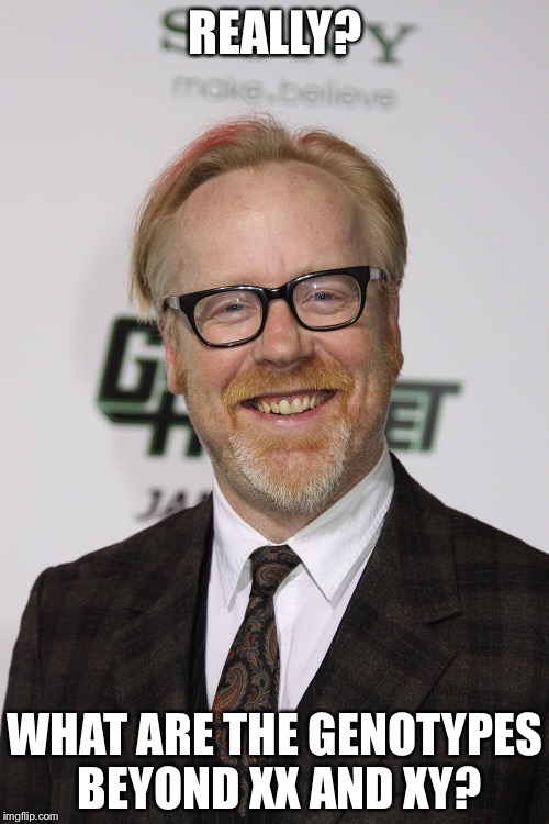 Election Reality | REALLY? WHAT ARE THE GENOTYPES BEYOND XX AND XY? | image tagged in election reality | made w/ Imgflip meme maker