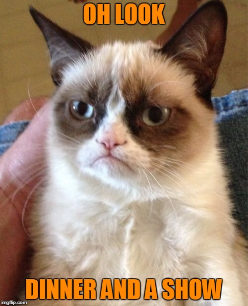 Grumpy Cat Meme | OH LOOK DINNER AND A SHOW | image tagged in memes,grumpy cat | made w/ Imgflip meme maker
