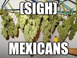 holly weed  | (SIGH); MEXICANS | image tagged in smoke weed everyday | made w/ Imgflip meme maker