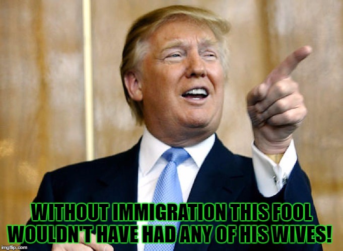 Donald Trump Pointing | WITHOUT IMMIGRATION THIS FOOL WOULDN'T HAVE HAD ANY OF HIS WIVES! | image tagged in donald trump pointing | made w/ Imgflip meme maker