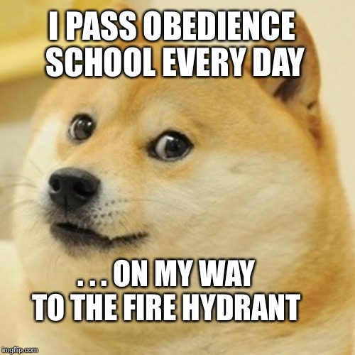 Doge Meme | I PASS OBEDIENCE SCHOOL EVERY DAY . . . ON MY WAY TO THE FIRE HYDRANT | image tagged in memes,doge | made w/ Imgflip meme maker