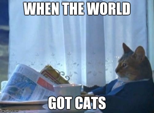 I Should Buy A Boat Cat Meme | WHEN THE WORLD; GOT CATS | image tagged in memes,i should buy a boat cat | made w/ Imgflip meme maker