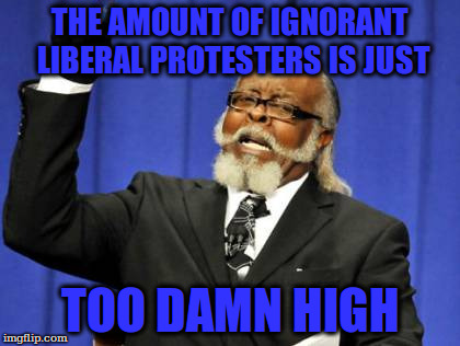 Too Damn High Meme | THE AMOUNT OF IGNORANT LIBERAL PROTESTERS IS JUST; TOO DAMN HIGH | image tagged in memes,too damn high | made w/ Imgflip meme maker