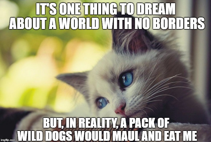 First world problems cat  | IT'S ONE THING TO DREAM ABOUT A WORLD WITH NO BORDERS; BUT, IN REALITY, A PACK OF WILD DOGS WOULD MAUL AND EAT ME | image tagged in first world problems cat,memes,cat meme | made w/ Imgflip meme maker
