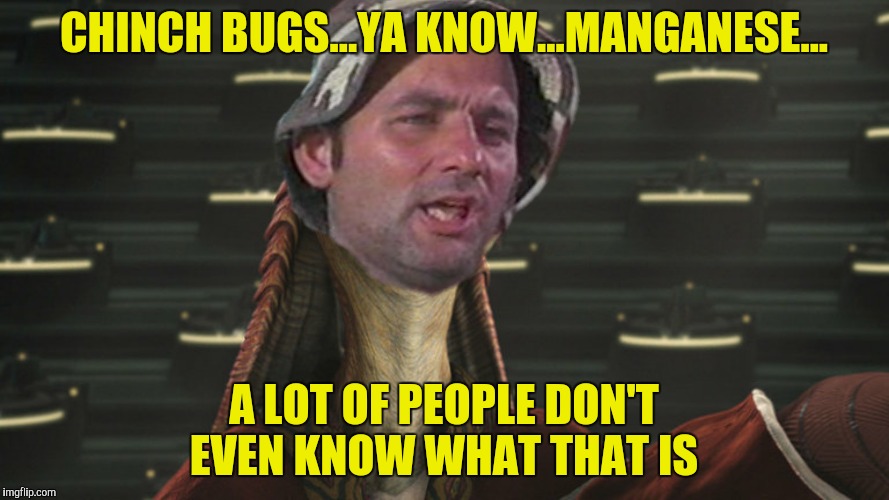 CHINCH BUGS...YA KNOW...MANGANESE... A LOT OF PEOPLE DON'T EVEN KNOW WHAT THAT IS | made w/ Imgflip meme maker