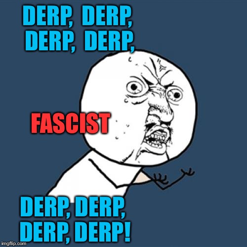 Y U No Meme | DERP,  DERP,  DERP,  DERP, DERP, DERP, DERP, DERP! FASCIST | image tagged in memes,y u no | made w/ Imgflip meme maker