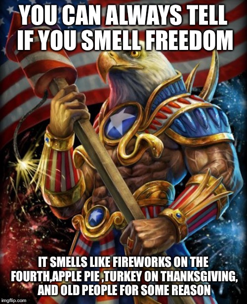 Lost meme comments for livin to FREE | YOU CAN ALWAYS TELL IF YOU SMELL FREEDOM; IT SMELLS LIKE FIREWORKS ON THE FOURTH,APPLE PIE ,TURKEY ON THANKSGIVING, AND OLD PEOPLE FOR SOME REASON | image tagged in freedom eagle opan,funny,memes,freedom,america | made w/ Imgflip meme maker