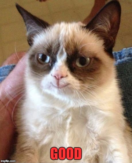 GOOD | image tagged in grumpy cat smile | made w/ Imgflip meme maker