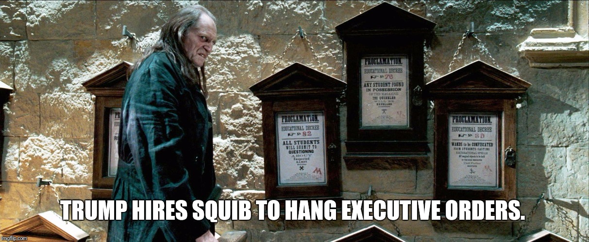 TRUMP HIRES SQUIB TO HANG EXECUTIVE ORDERS. | image tagged in trump | made w/ Imgflip meme maker