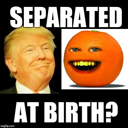 Annoying, isn't it? | SEPARATED; AT BIRTH? | image tagged in blank page,donald drumpf,annoying orange | made w/ Imgflip meme maker