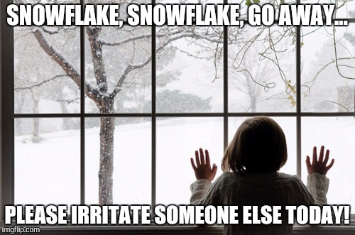 SNOWFLAKE, SNOWFLAKE, GO AWAY... PLEASE IRRITATE SOMEONE ELSE TODAY! | image tagged in libtards | made w/ Imgflip meme maker