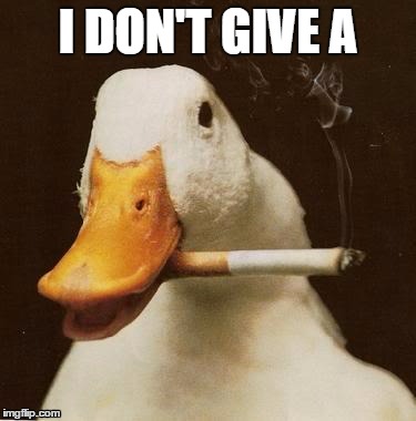 Smoking Duck | I DON'T GIVE A | image tagged in smoking duck | made w/ Imgflip meme maker